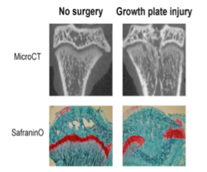 screen-shot-2017-02-04-at-10-47-05-pm